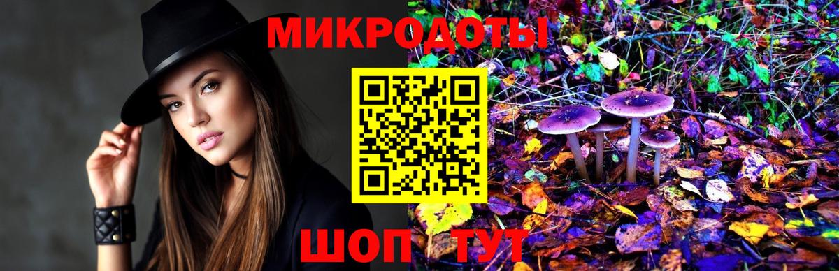 Галлюциногенные грибы Cubensis  Вход с VPN  Кольчугино  Галлюциногенные грибы Cubensis 